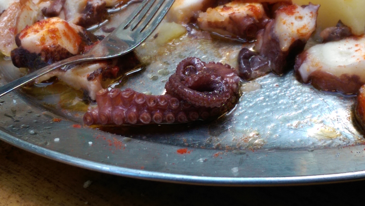 Plateful of octopus 